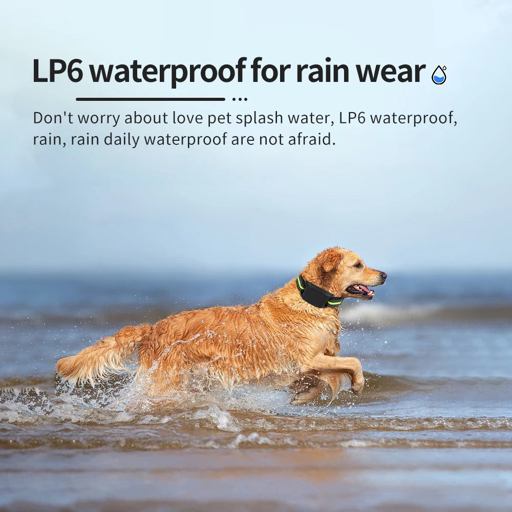 Dog Auto Anti-Bark Collar USB Rechargeable Training Collars Safety Static Shock Humane Electric anti Bark Collars Pet Supplies