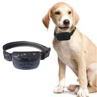 448B Electric anti Bark Portable Dogs Collar