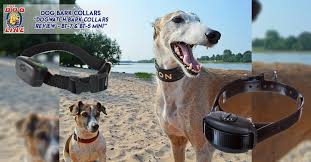 448B Electric anti Bark Portable Dogs Collar